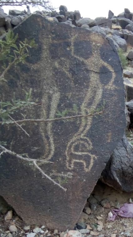 برط العنان - الجوف